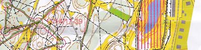 Orienteering map - Открытое первенство ДЮСШ Нижегородец