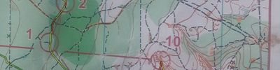 Orienteering map - Подснежник