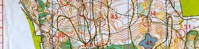 Orienteering map - открытие сезона в области- Весна 2016
