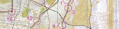 Orienteering map - Чемпионат Нижегородской области. Классика