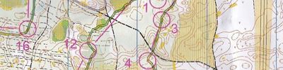 Orienteering map - Чемпионат Нижегородской области