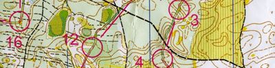 Orienteering map - Чемпионат области, Классика, Сосновый бор