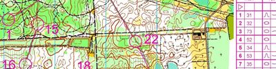 Orienteering map - Чемпионат ПФО 2 день