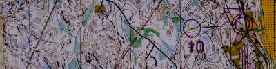 Orienteering map - полiгон:LOнg(1:15000)