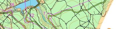 Orienteering map - Тренировочный старт