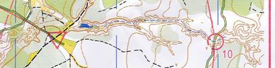 Orienteering map - Мемориал Лебединского 2016. Пролог 1.