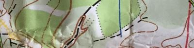 Orienteering map - 