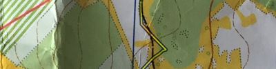 Orienteering map - 