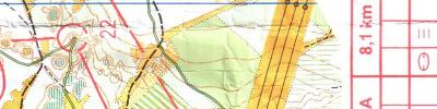 Orienteering map - Ворсма 2 день