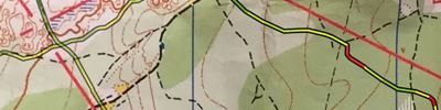 Orienteering map - 
