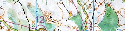 Orienteering map - Чемпионат области 1 день Спринт лесной. 