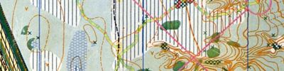 Orienteering map - Чемпионат области 2 День. Кросс. 