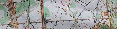 Orienteering map - Российский азимут