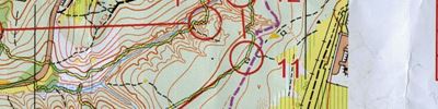 Orienteering map - Тренировочный старт, Малиновая гряда