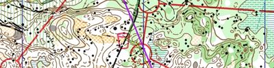 Карта спортивного ориентирования - КПП 2016 3 День Лонг. очень Лонг...