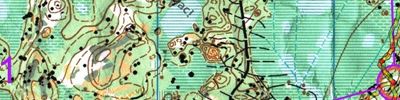 Orienteering map - КПП 2016 4 День Общий старт, Лонг. 