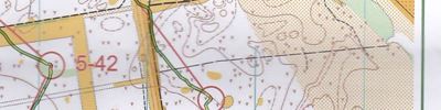 Orienteering map - Дубравушка 2016. 2-й день. 3-й этап.