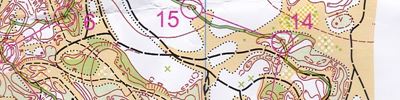 Orienteering map - Чемпионат Нижегородской области. Двухэтапная эстафета.
