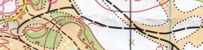 Orienteering map - Чемпионат Нижегородской области