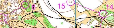 Orienteering map - Чемпионата и Первенства Нижегородской области. Двух этапная эстафета Арзамасский район.