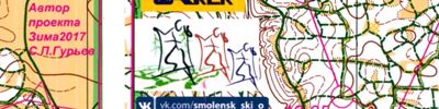 Карта за ориентиране - SKI-O куюок Петровича. 1 Заезд, Задача идти как можноближе к прямой по седке.