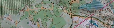Orienteering map - Вачский Азимут-2017