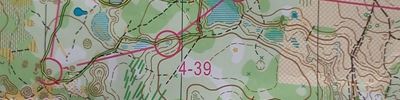 Orienteering map - Вачский Азимут-2017