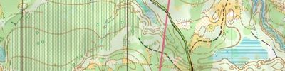 Orienteering map - "Вачский азимут-2017" (классика1)