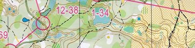 Orienteering map - Вачский азимут классика 2