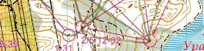 Orienteering map - Урал-2017
