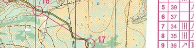 Orienteering map - Championship of Vladimir