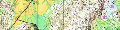 Orienteering map - Кубок Карельского Перешейка, день 3, круг 1 (М21А, М40, М45)