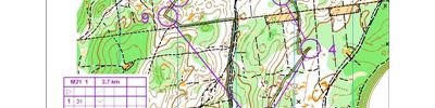 Orienteering map - Чемпионат республики Мордовия