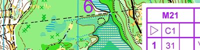 Orienteering map - Чемпионат республики Мордовии