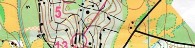 Orienteering map - Кубок Карельского перешейка 2017. 1-й день.