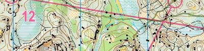 Orienteering map - Кубок Карельского перешейка 2017. 2-й день.
