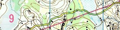 Orienteering map - Кубок Карельского Перешейка день 2 Ж35