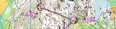 Orienteering map - Кубок Карельского перешейка 2017. 3-й день. 1-й круг.