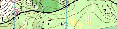 Orienteering map - Кубок Карельского Перешейка День 4 Ж35