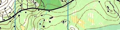 Orienteering map - Кубок Карельского Перешейка День 4 М35