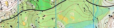 Orienteering map - Кубок Карельского перешейка 2017. 4-й день.