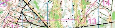 Orienteering map - Мемориал Михаила Святкина 2017. 1-й день.