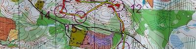 Orienteering map - Fin5