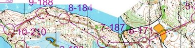 Orienteering map - Fin5 2017, day 4, a-long