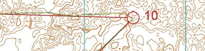 Orienteering map - Тренировка по рельефной карте