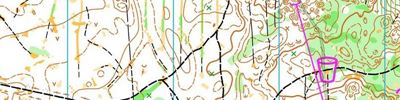 Orienteering map - Полазна