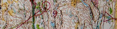 Orienteering map - Oringen 2017, day 3, H21-2