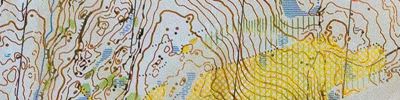 Orienteering map - Oringen 2017, day 4