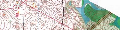 Orienteering map - Иван Купала (Алоль 2017) 3 день