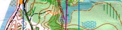 Orienteering map - Приз  Пржевальского 2 День